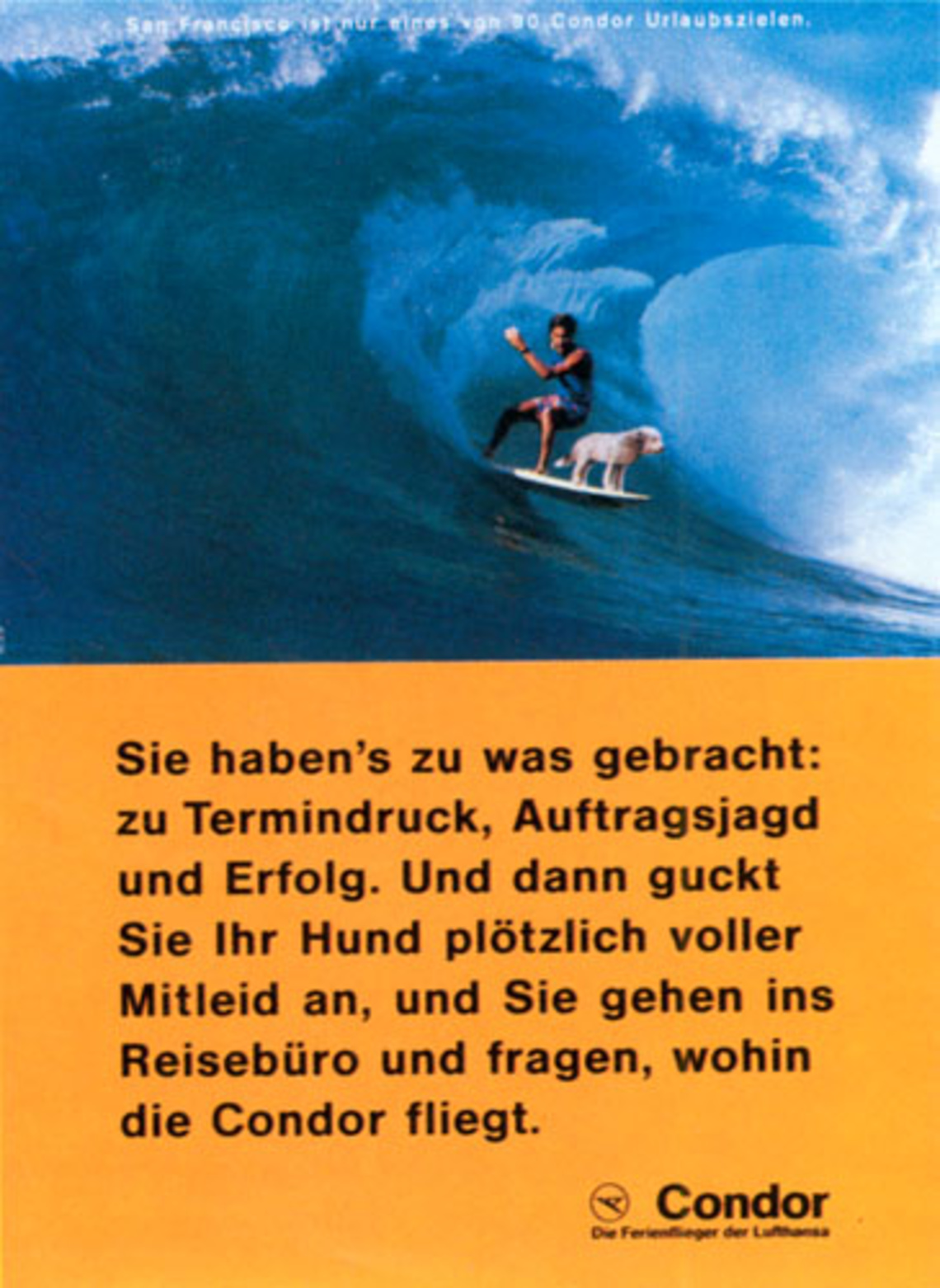 You´ve really made it: you´re under a lot of pressure, you´re chasing after a new business, you´re a succes. Then suddenly your dog looks at you with pity in his eyes, and you walk into the nearest travel agency to ask for Condor´s destinations.