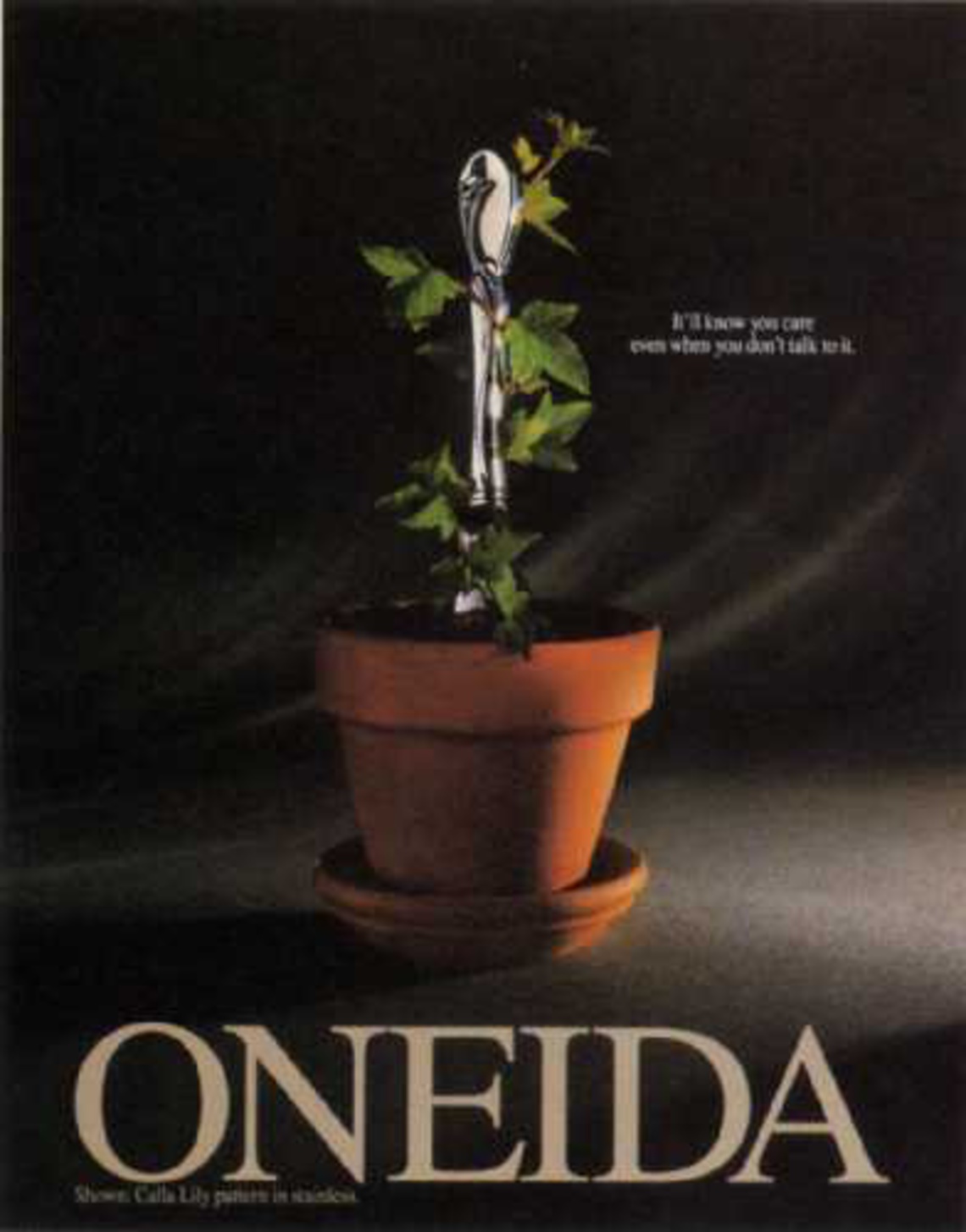 Oneida