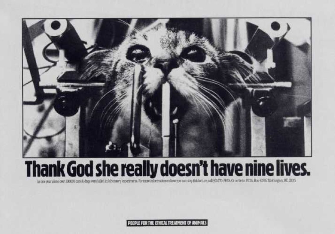 Thank God she really doesn´t have nine lives. Copy: In one year alone over 200,000 cats & dogs were killed in laboratory experiments.