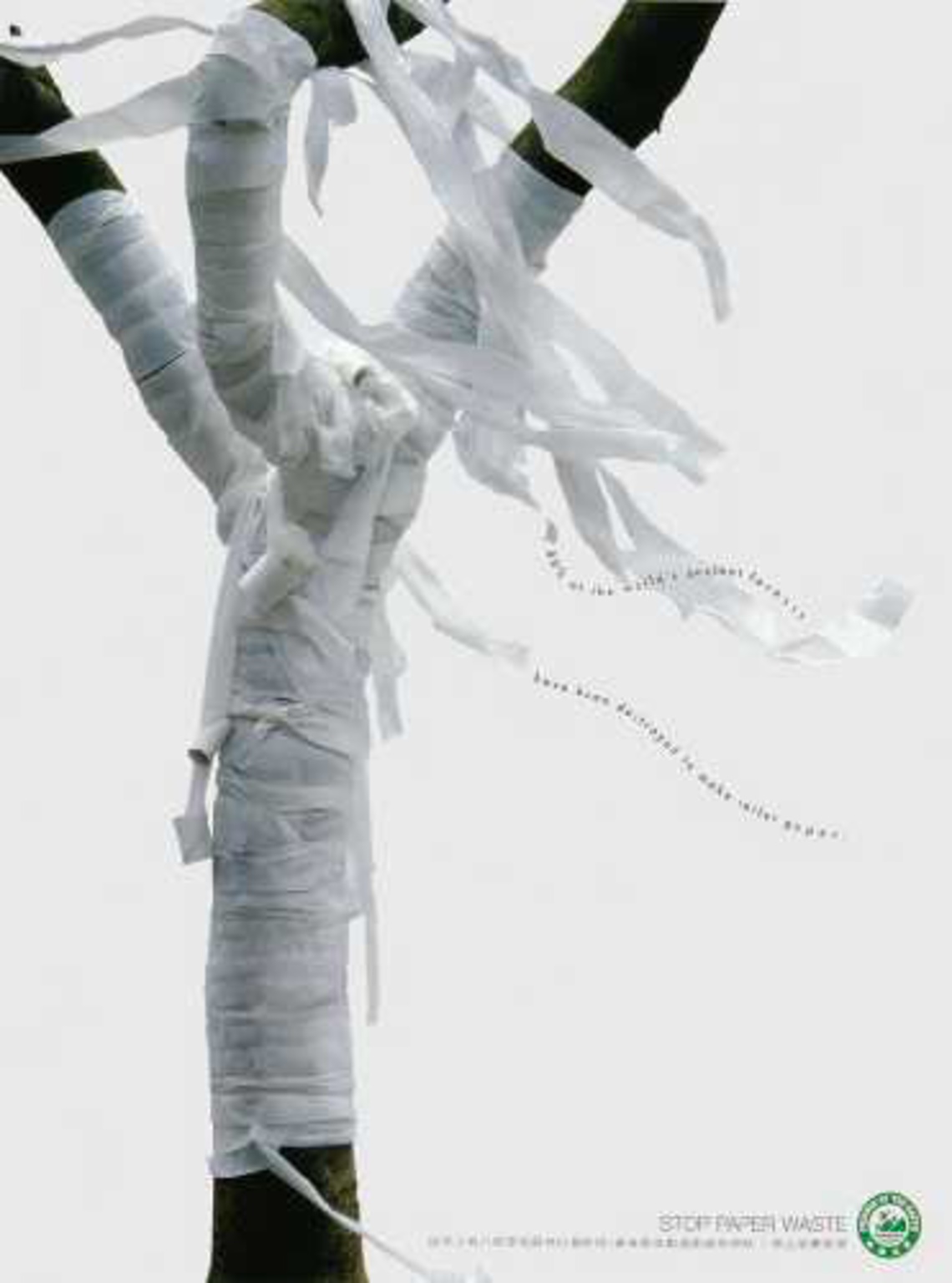 80% of the world´s ancient forests have been destroyed to make toilet paper. Stop paper waste.