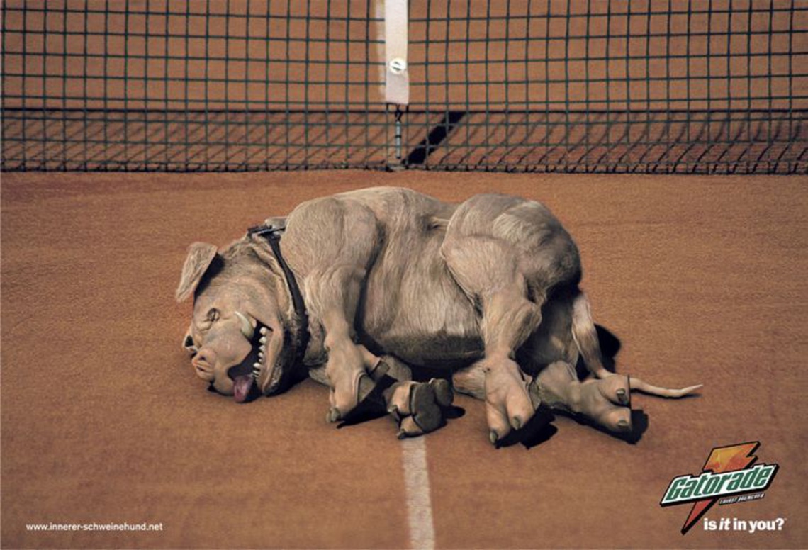 The German term “innerer Schweinehund” – “inner pigdog” – is used to describe an unwillingness to push oneself to the
limit – in sport or in other situations where one needs to perform at one’s best. Gatorade, the campaign suggests, can help
people to overcome this “weaker self” and achieve the goals they have set themselves.