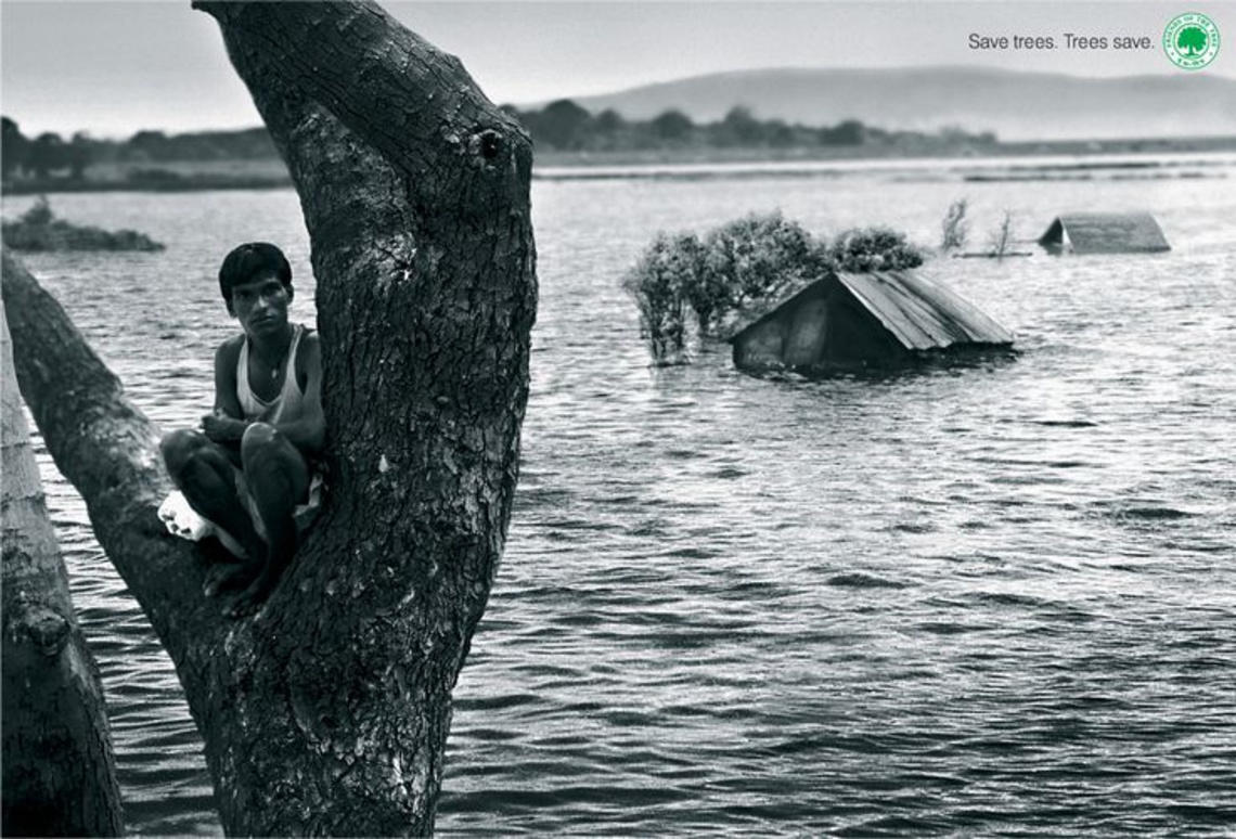 Friends of the Trees, Mumbai