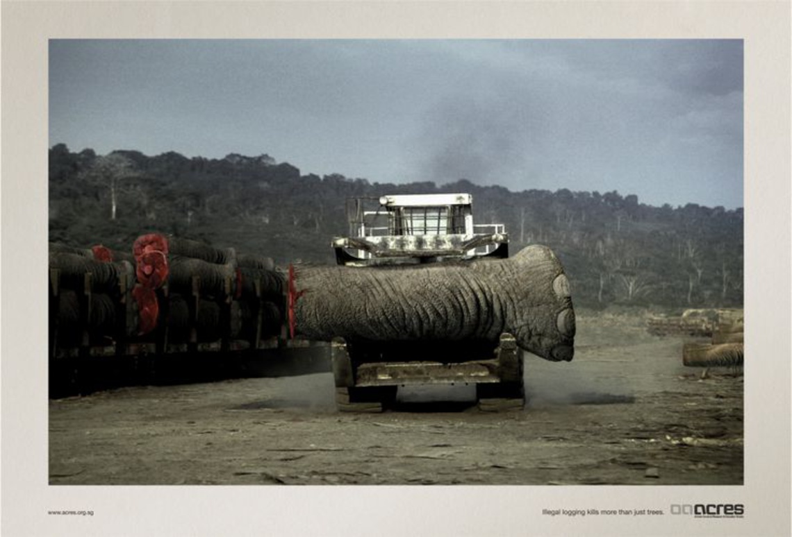 (Illegal logging kills more than just trees.) Campaign for the Animal Concerns Research & Education Society.