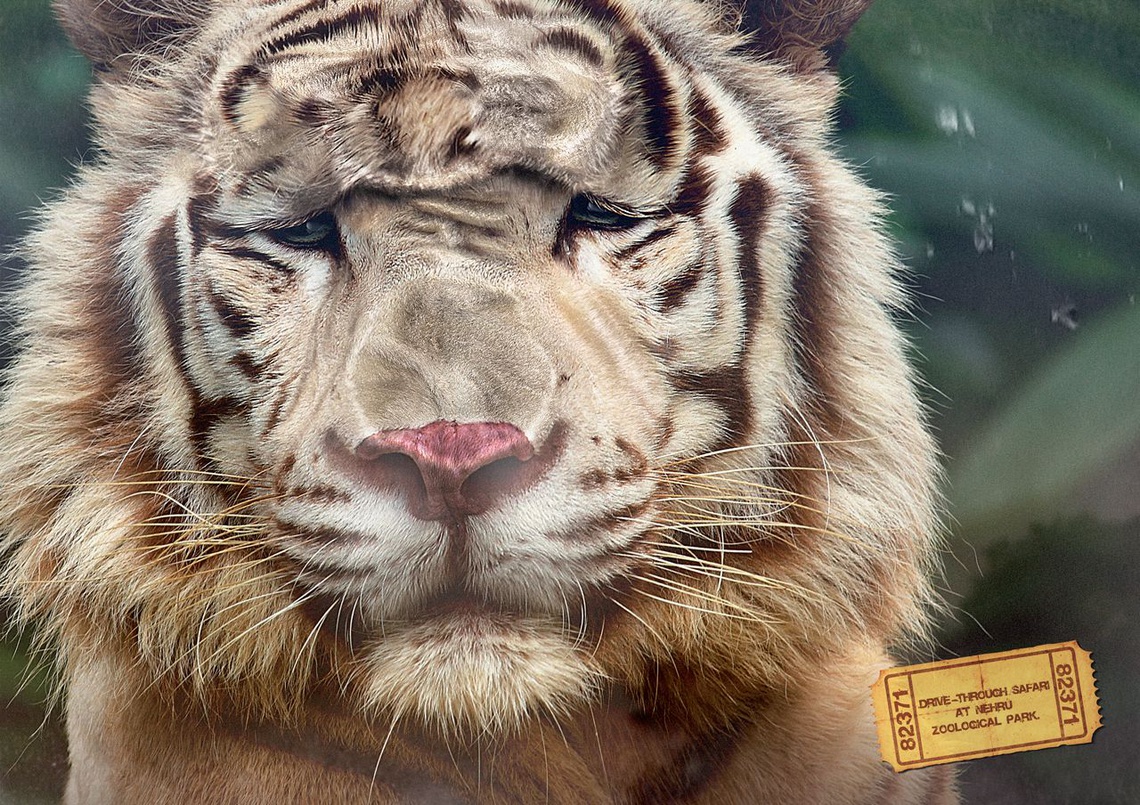 View: Nehru Zoological Park Ad | By Ogilvy & Mather Mumbai, | Lürzer's ...