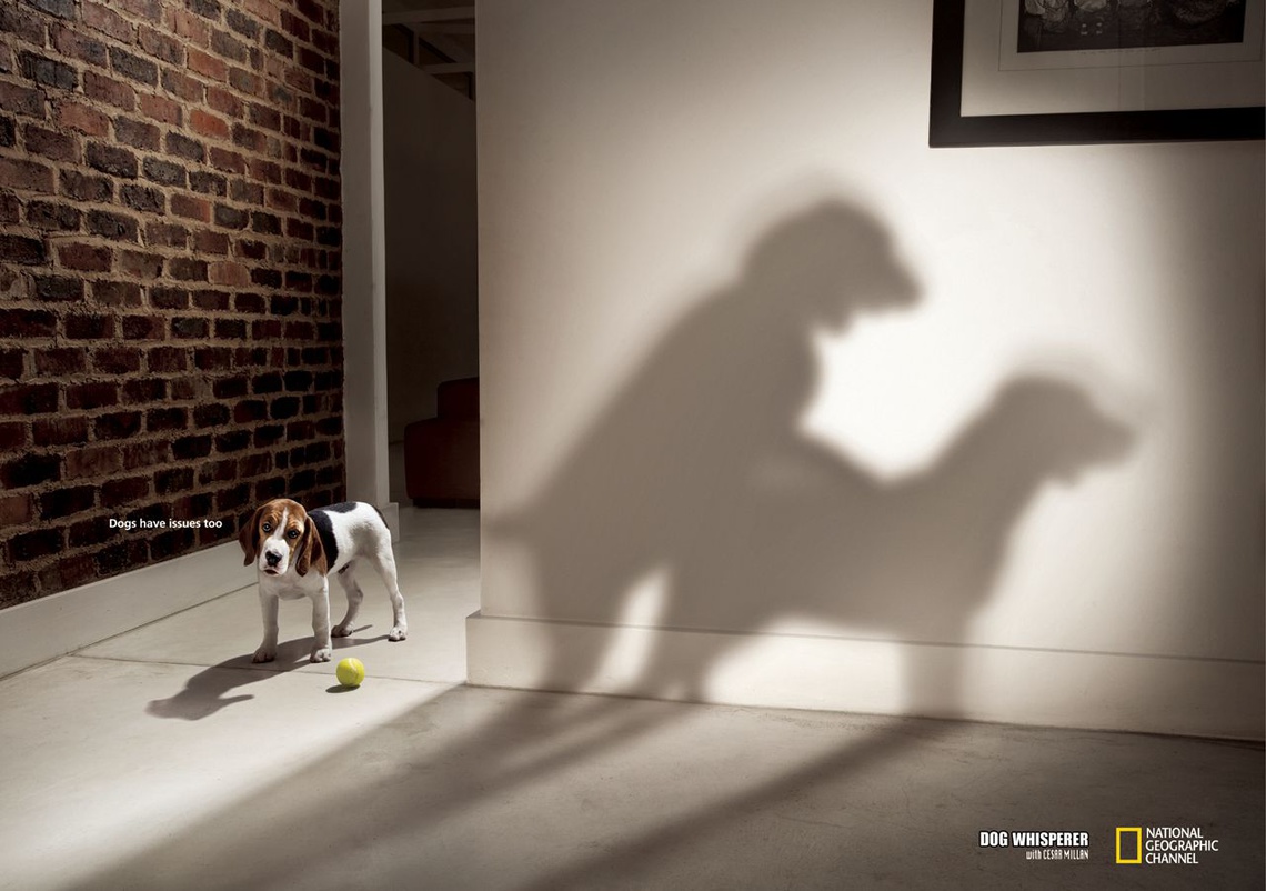 (Dogs have issues too. – Dog Whisperer with Cesar Millan.) Campaign for a TV program from the National Geographic Channel.