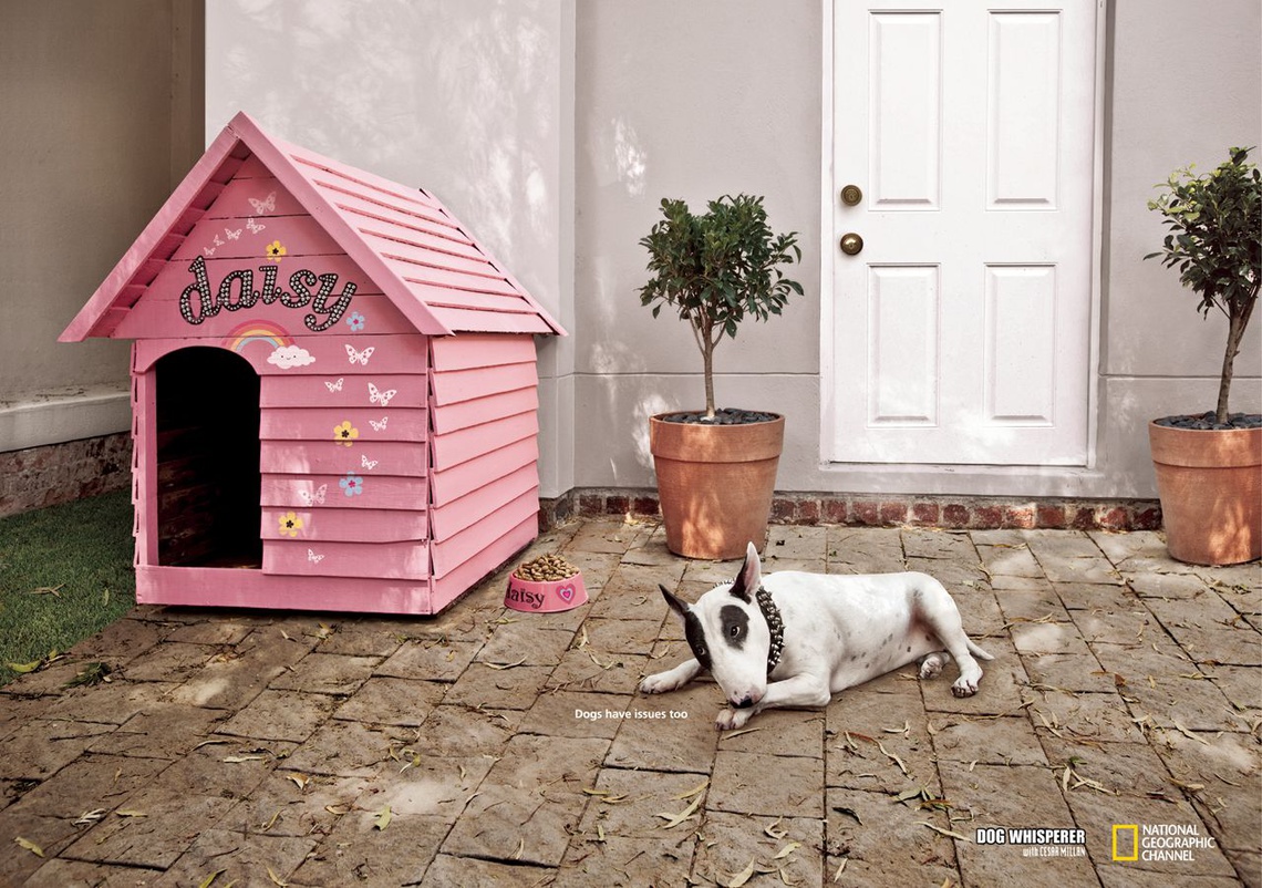 (Dogs have issues too. – Dog Whisperer with Cesar Millan.) Campaign for a TV program from the National Geographic Channel.