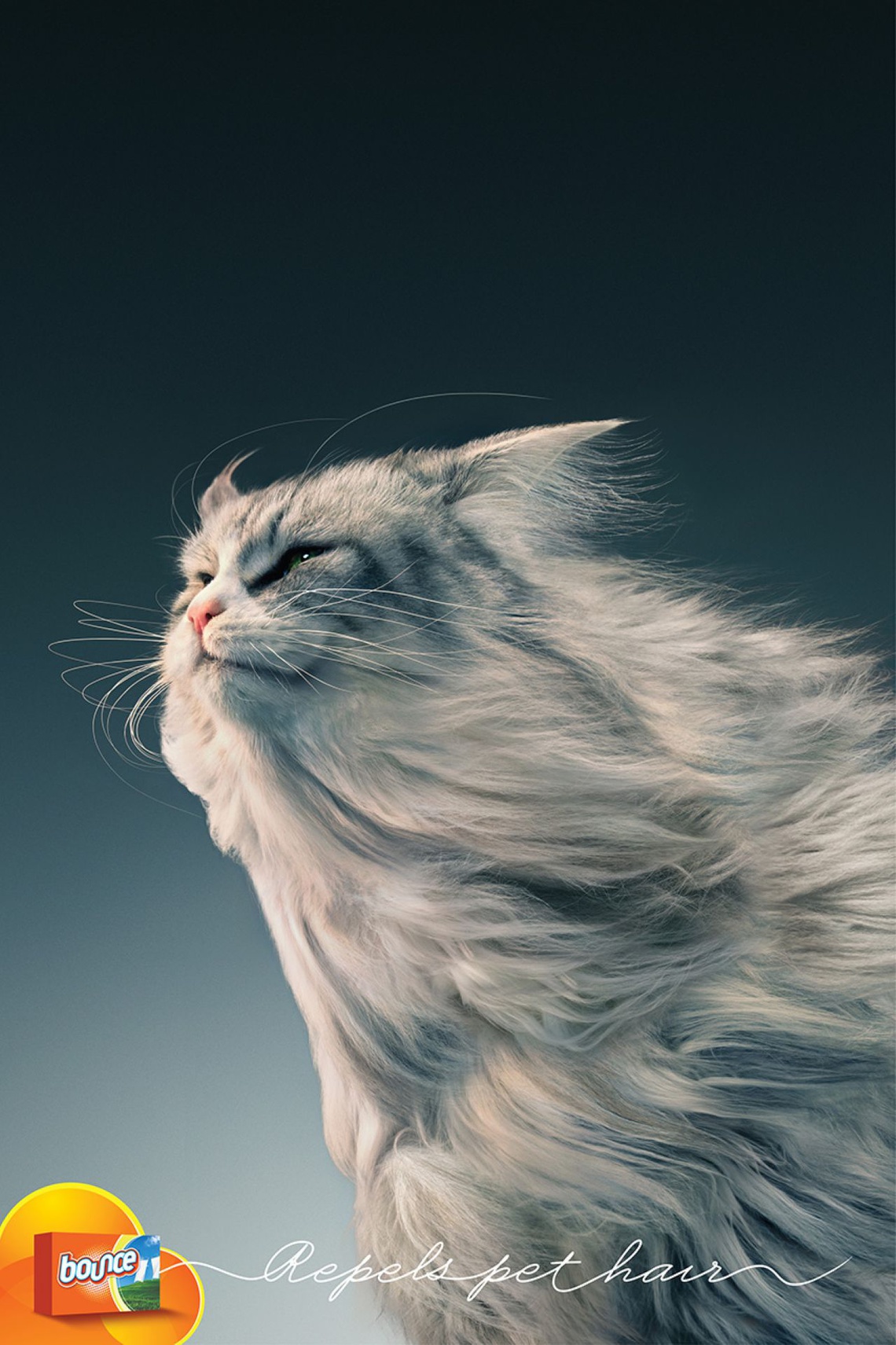 Repels pet hair. Campaign for Bounce brand dryer sheets, which
help to control static and repel pet hair and lint.