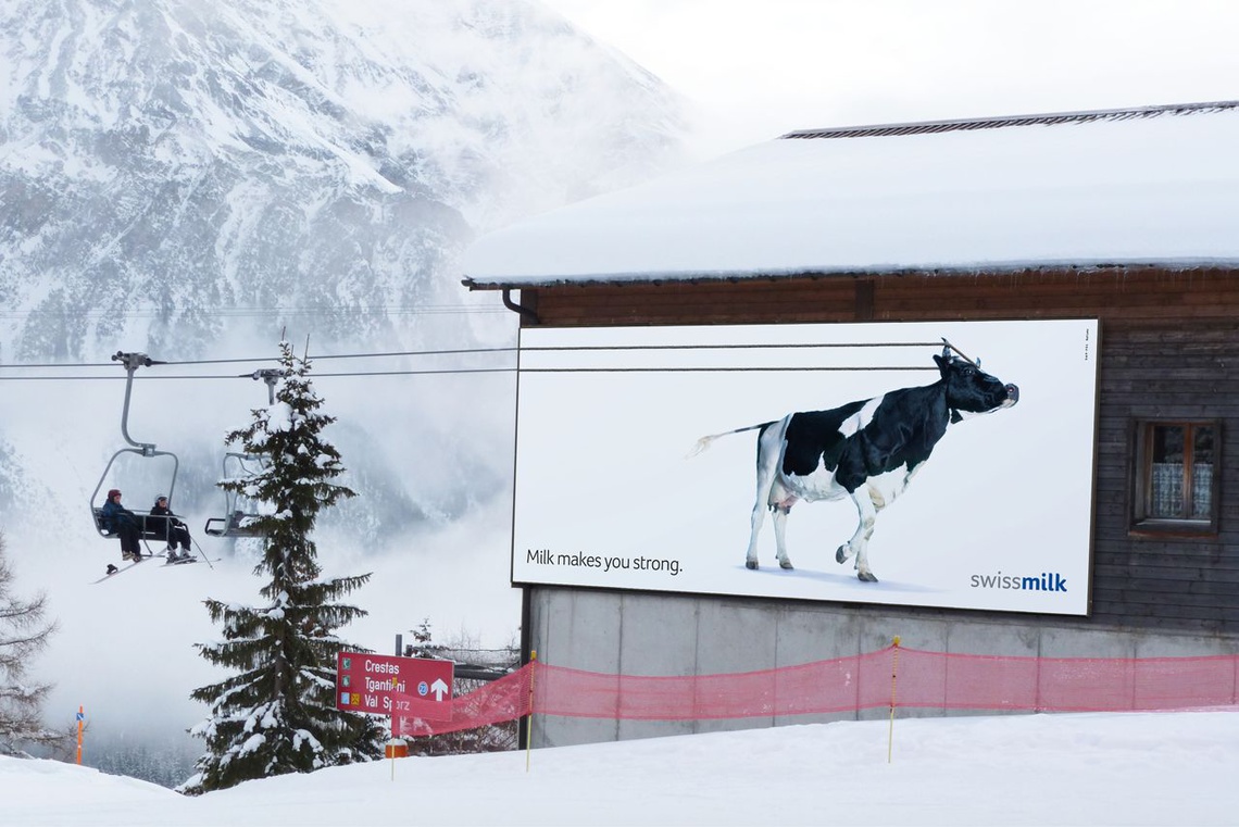 Swiss Milk