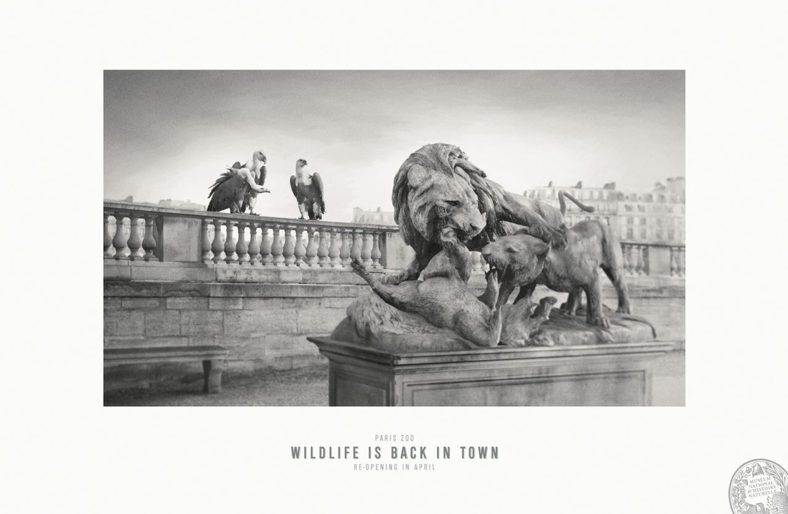 Campaign for the Paris Zoo.