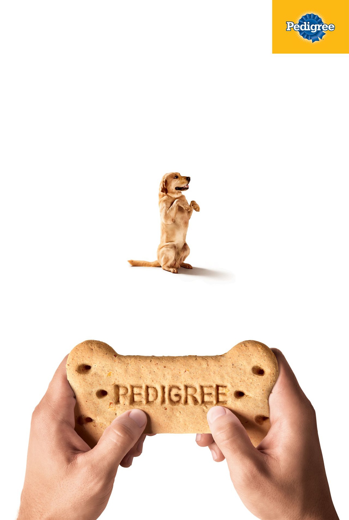 Pedigree