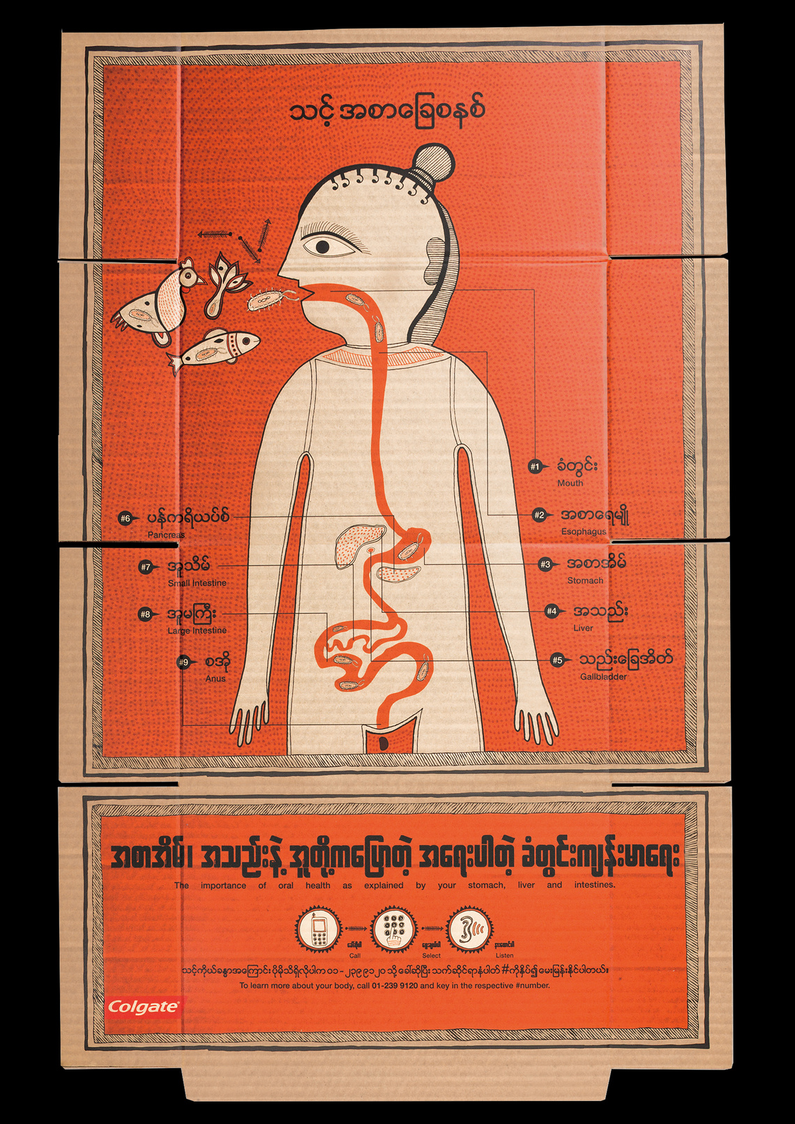 Your digestive system.
The importance of oral health, as explained by your stomach, liver and intestines.
These fold-out posters, printed on the inside of the cardboard boxes around Colgate toothpaste tubes sought to educate schoolchildren in Myanmar about the importance of oral health. The brand made clever use of its growing local distribution network, reaching rural areas that traditional media could not.