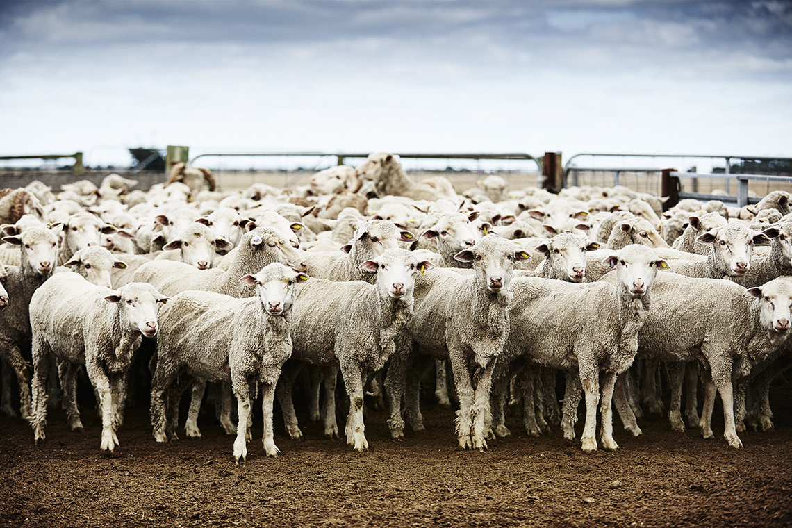 Royal Agricultural Society of Victoria