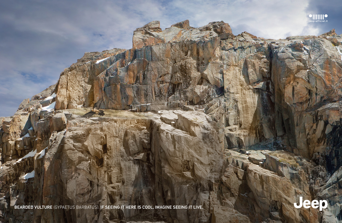 Bearded vulture (gypaetus barbatus). If seeing it here is cool, imagine seeing it live.
(Due to the small size of this poster campaign, it may
take a while to spot the animals hidden in the rocks.)