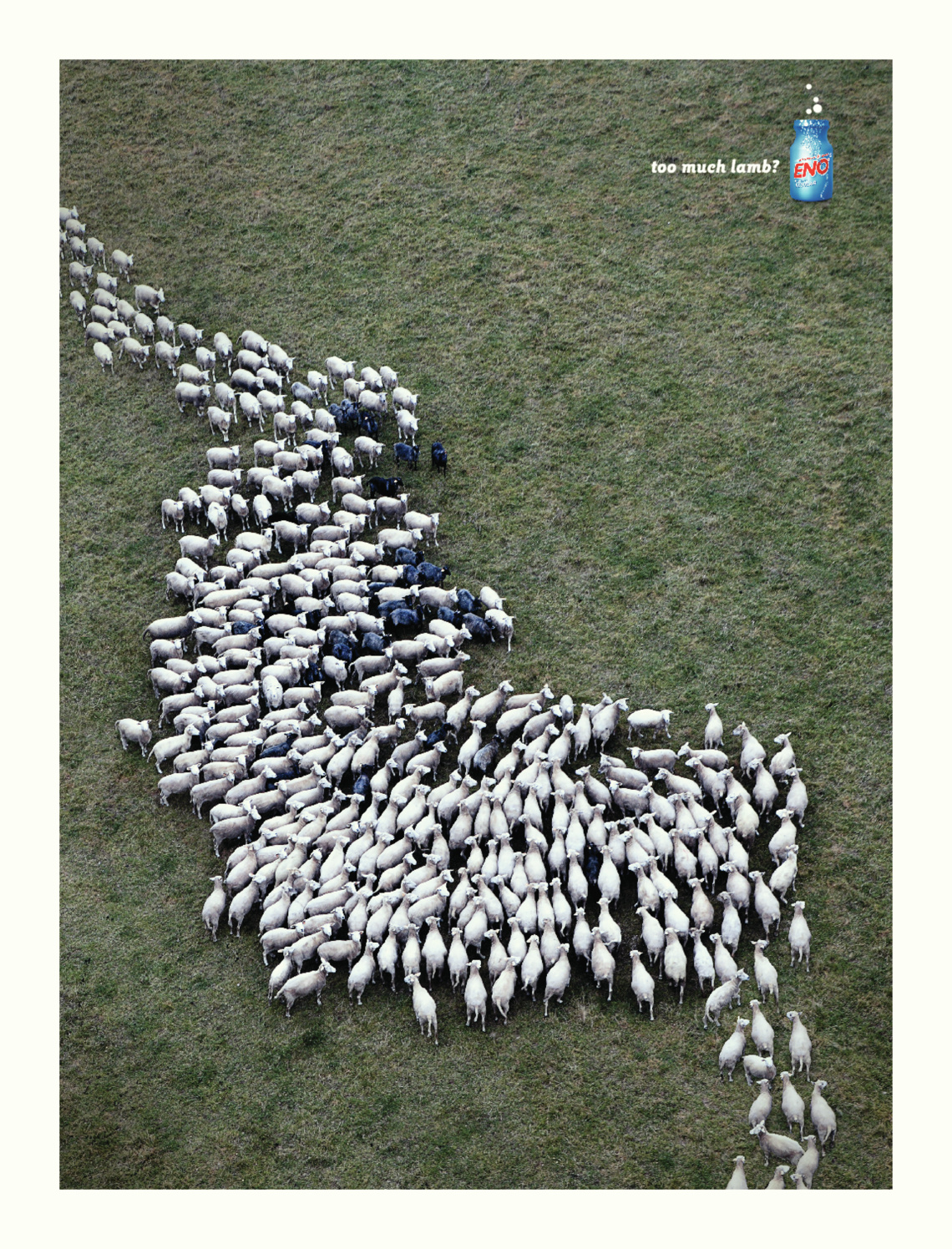 Too much lamb?
Ad for a medicine providing relief from indigestion.