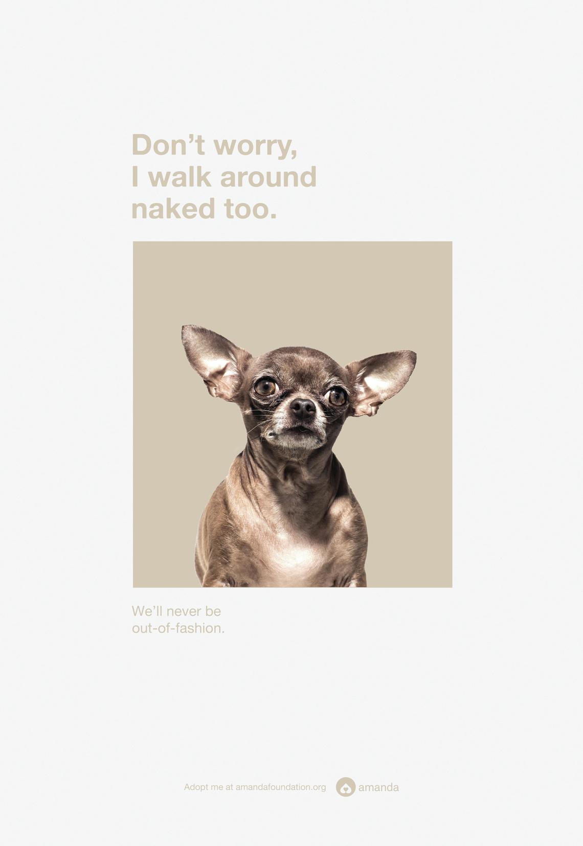 We’ll never be out of fashion.
Poster campaign designed to increase the number of dogs adopted from the Amanda Foundation.