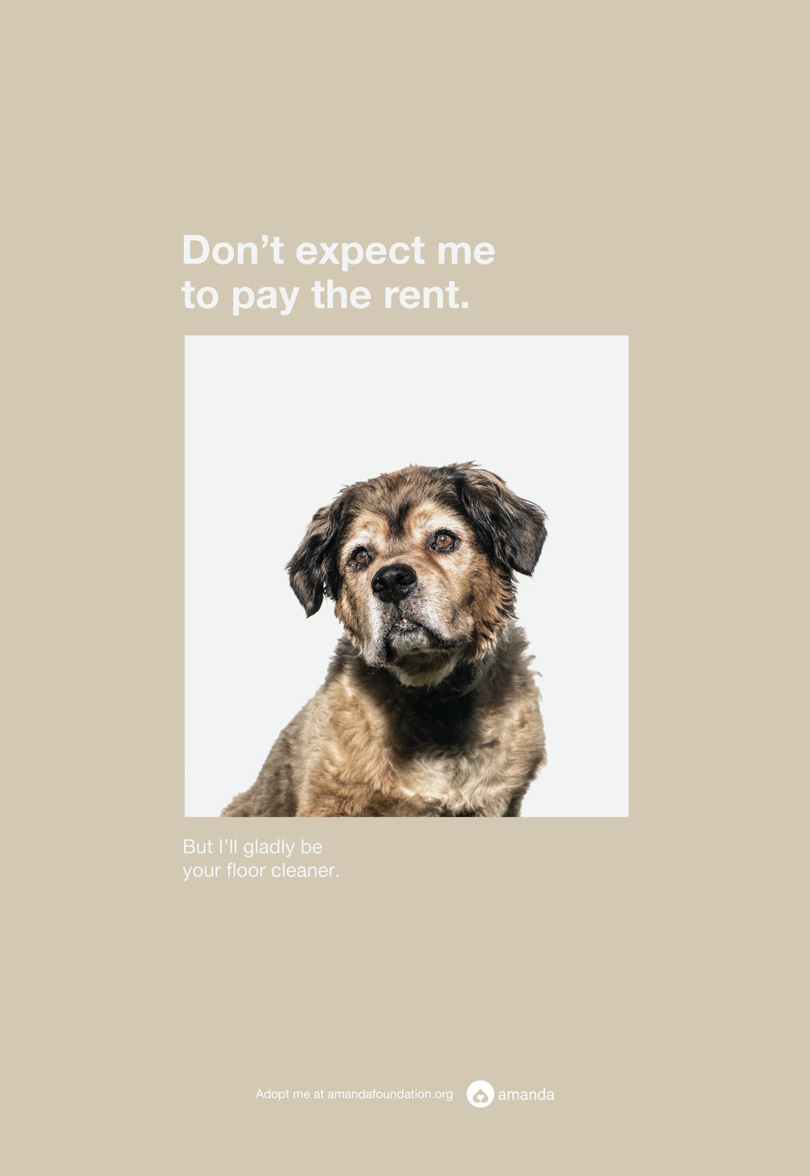 But I’ll gladly be your floor cleaner.
Poster campaign designed to increase the number of dogs adopted from the Amanda Foundation.