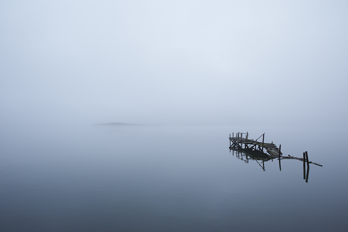 Laurie Frankel Photography, San Francisco