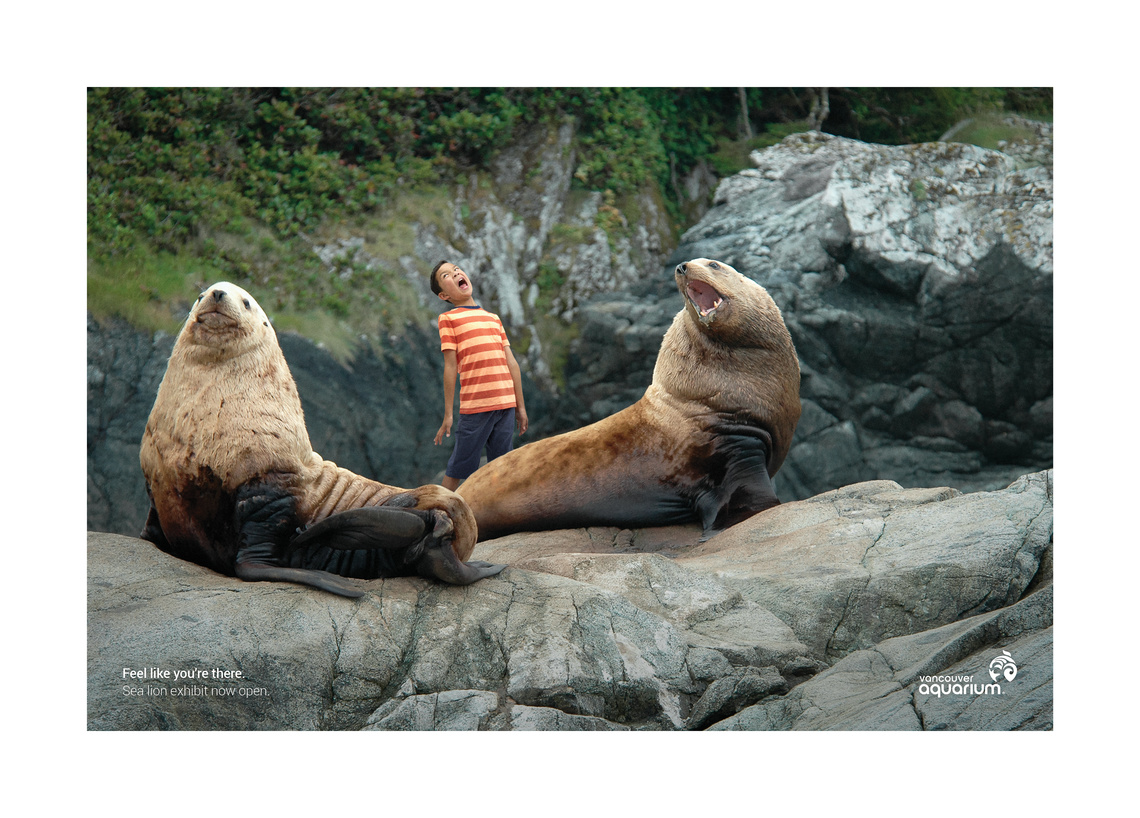 Feel like you’re there.
Sea lion exhibit now open.
Campaign for the Vancouver Aquarium.