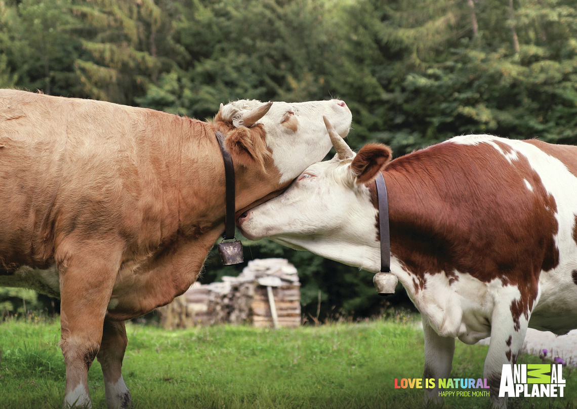 Love is natural.
Happy Pride Month.