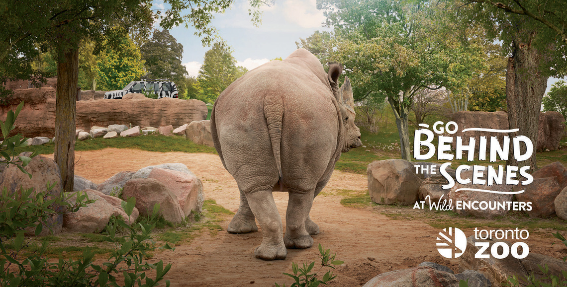 Campaign for the Toronto Zoo advertising the launch of its new experience called “Wild Encounters”, a behind-the-scenes look at what it takes to care for the animals.