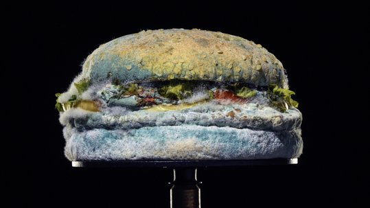 Burger King “Moldy Whopper” Burger King unveiled a global ad campaign in which their signature Whopper sandwich grows mold after prolonged exposure to air. With that stunt, they want to highlight their commitment to dropping all artificial preservatives from their food, something that should be completed by the end of the year.