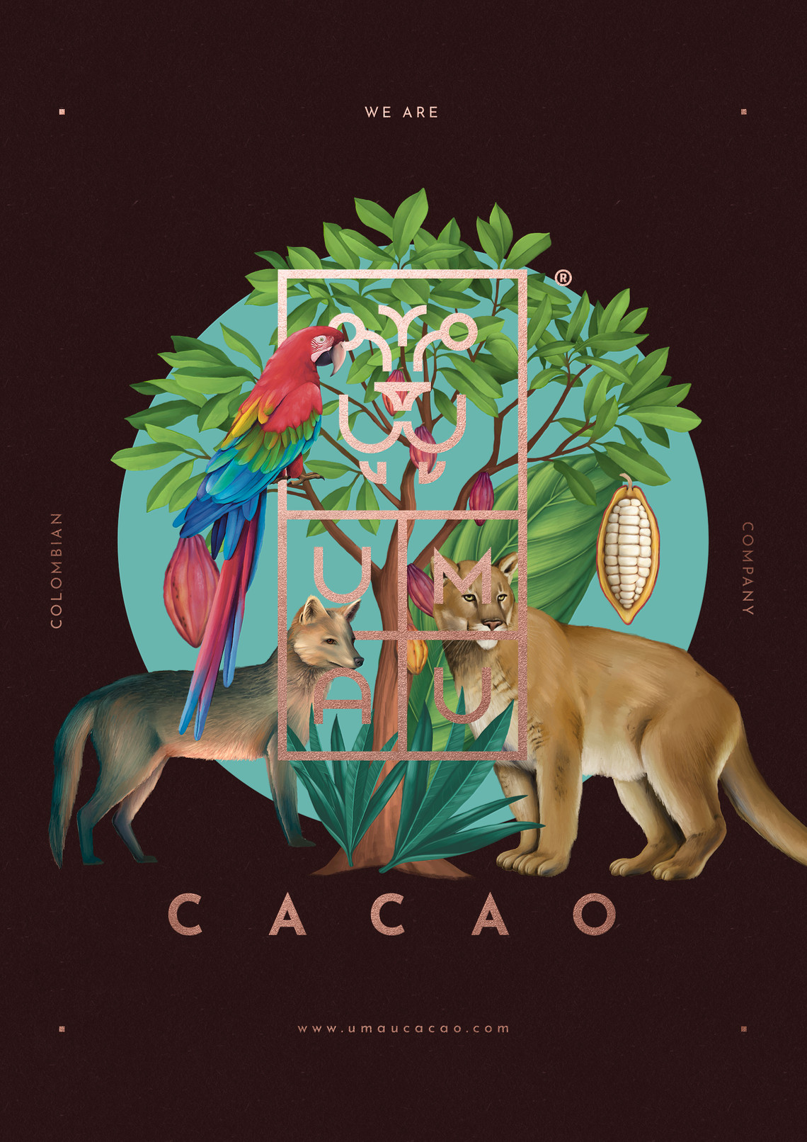 Colombian Cacao Company