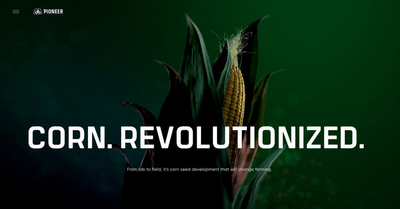 Corn.Revolutionized. by Pioneer