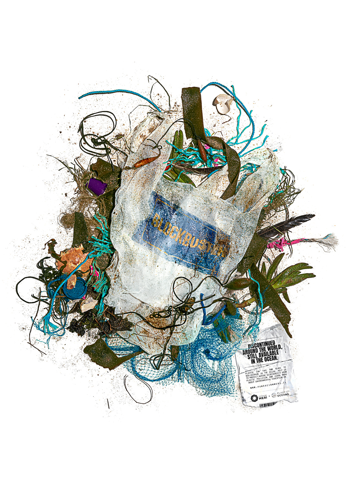 Campaign by Fundación Meri and Plastic Oceans to protect marine biodiversity from plastic pollution.