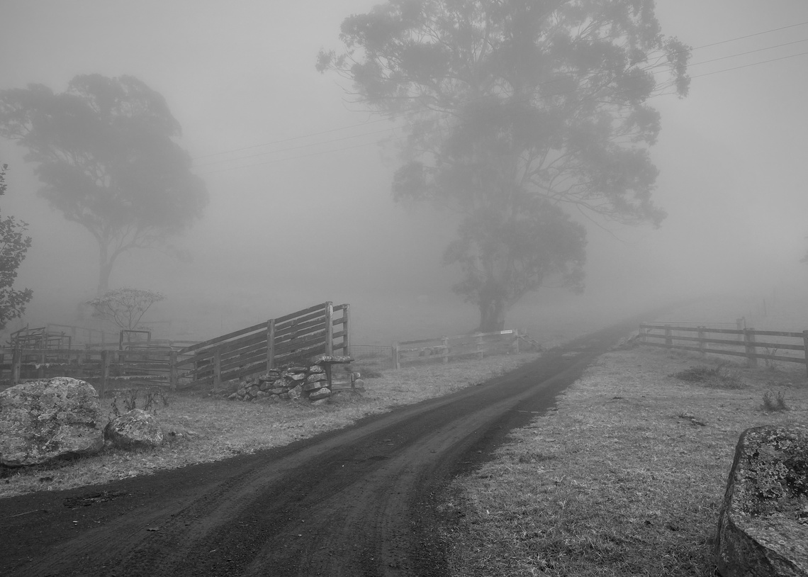 Sean Izzard Photography, Sydney