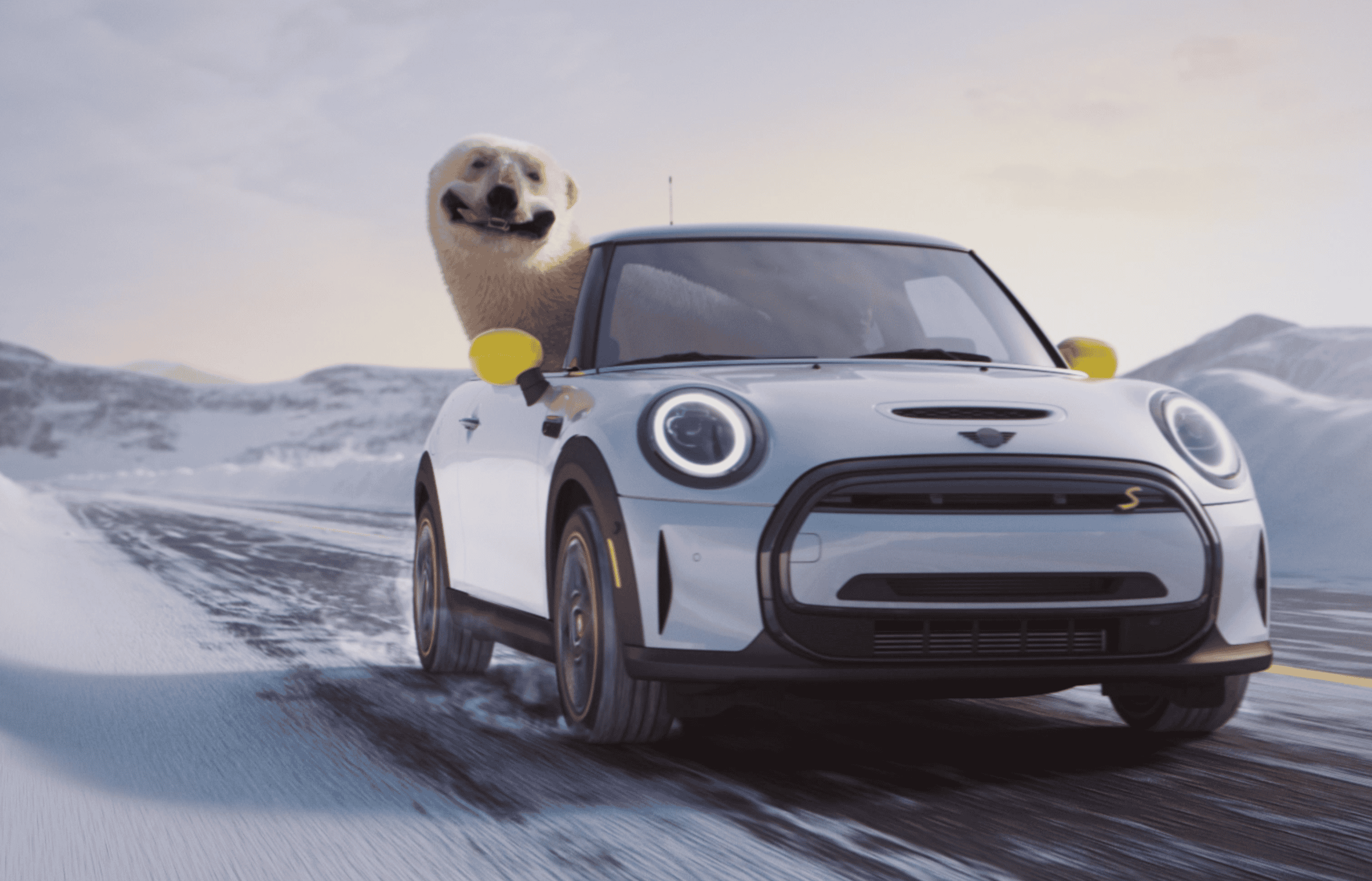 nanuq the polar bear leans out the window of a mini driving along a snowing road. the mini is gray-cream with bright yellow wing mirrors.